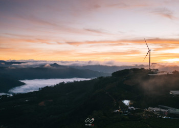 Da Lat Lunar New Year 2022